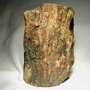 Madera petrificada